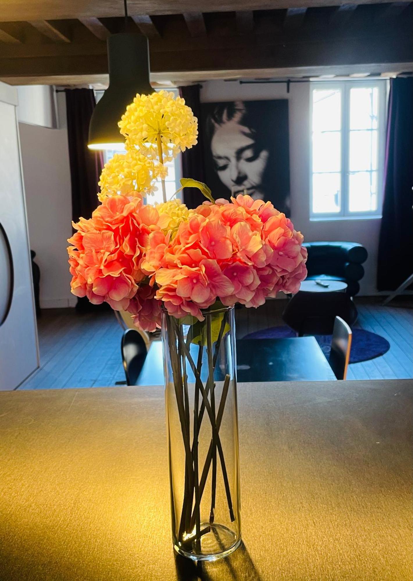 La Belle Adresse Apartment Dijon